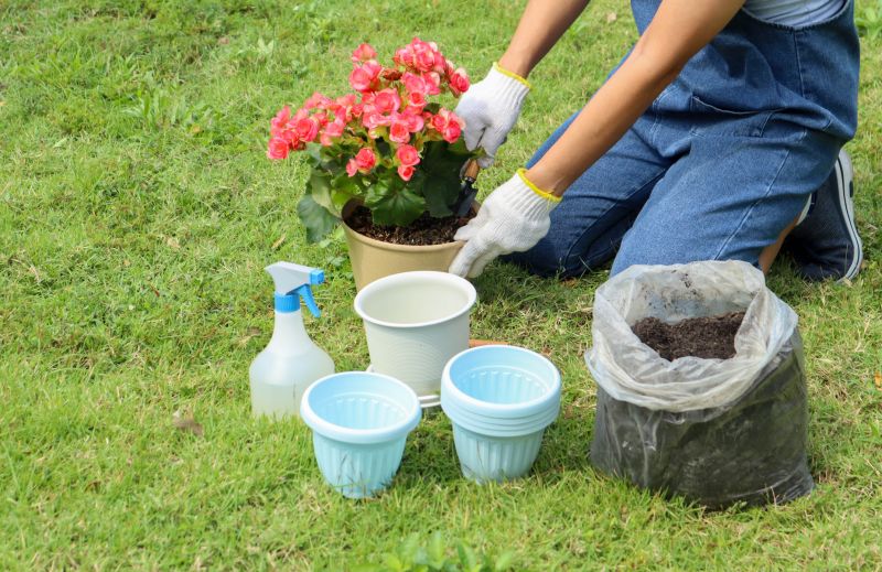 Greenery Planting in Honolulu, HI